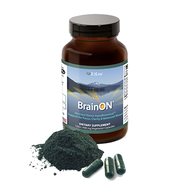 Brain On - The Best Natural Nootropic – Sparrow Health & Performance