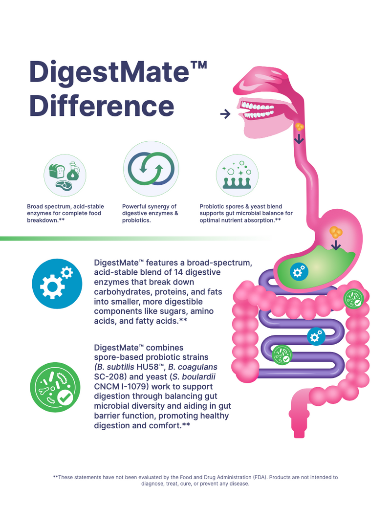 DigestMate