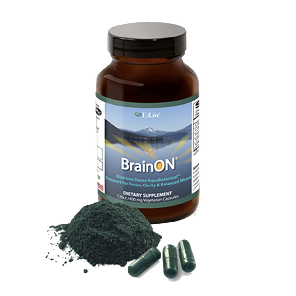 Brain On - The Best Natural Nootropic – Sparrow Health & Performance