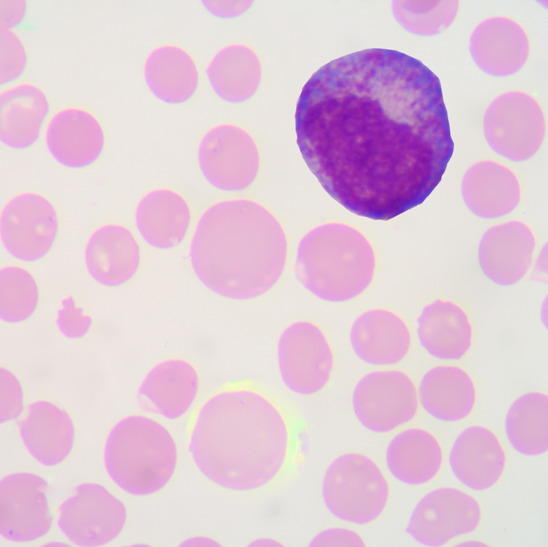 BioScans Online Personalized Nutrition & Supplement Test Sparrow