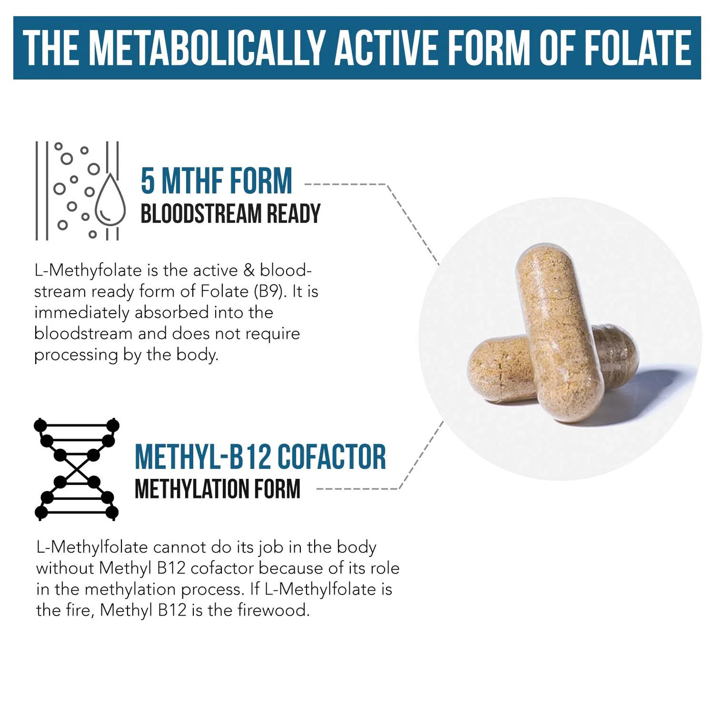 L-Methylfolate (5-MTHF) + Methyl B12 – Sparrow Health & Performance